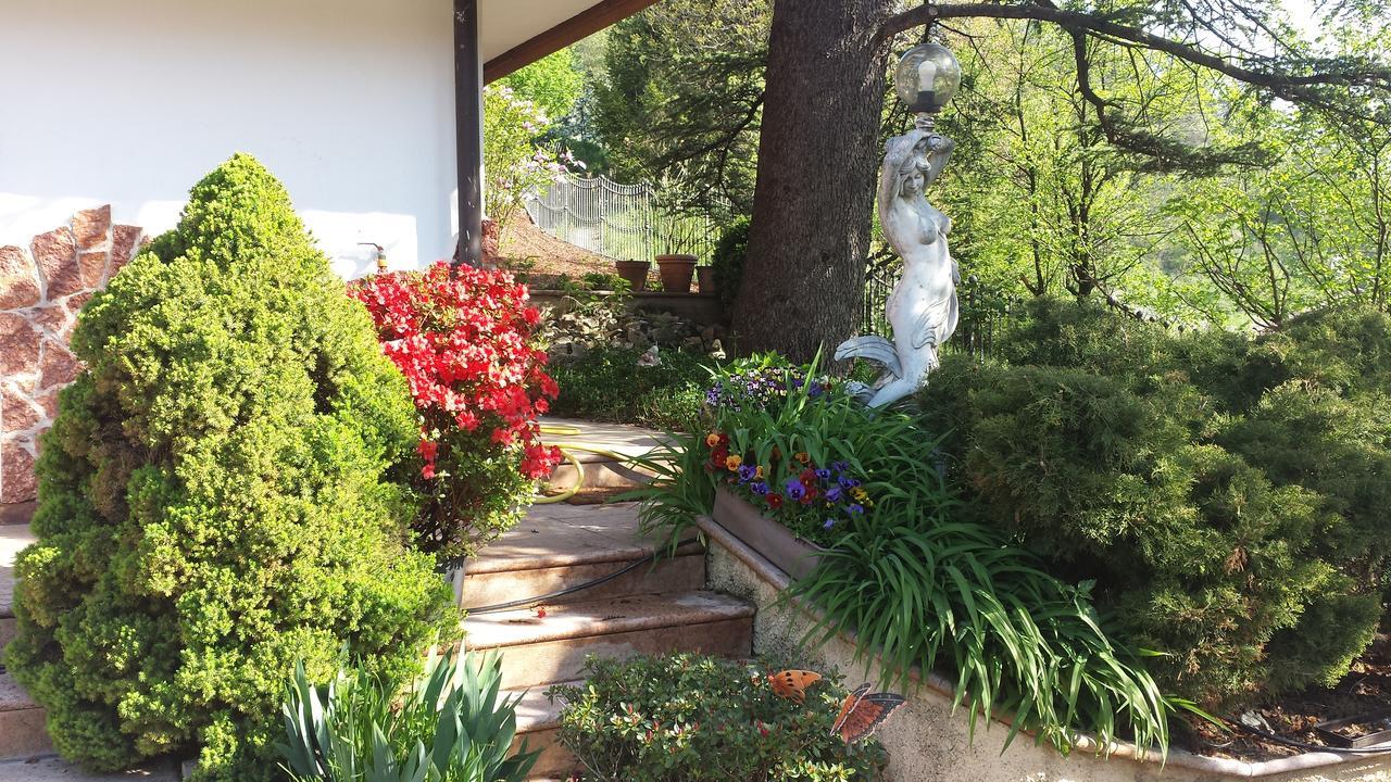 Sporminore B&B Al Cedro المظهر الخارجي الصورة